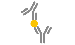 ELISA Antibody Pairs