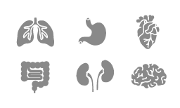 Browse Tissue Lysate Products