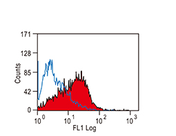 CD86 antibody(GTX41787)