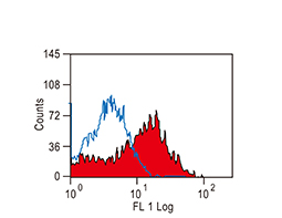 4-1BB / CD137 antibody [17B5] (FITC) (GTX43758)