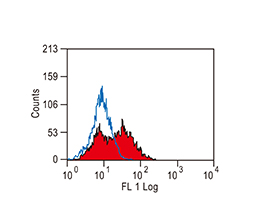 LAG3 antibody [C9B7W] (Low endotoxin, azide free)(GTX42244)