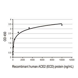 SARS-CoV-2 (COVID-19) Spike S1 protein, His and Avi tag (active)