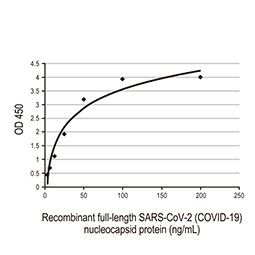 SARS-CoV-2 (COVID-19) Spike RBD protein, His tag (active)