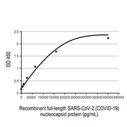 SARS-CoV-2 (COVID-19) Spike S1 protein, His and Avi tag (active)