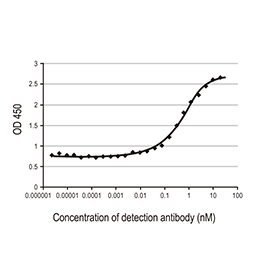 SARS-CoV / SARS-CoV-2 (COVID-19) spike antibody [1A9] (GTX632604)