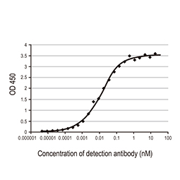 SARS-CoV-2 (COVID-19) nucleocapsid antibody