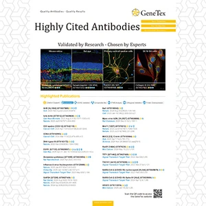 Highly Cited Antibodies