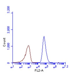 Anti-SQSTM1 / P62 antibody [N3C1], Internal used in Flow cytometry (FCM). GTX100685