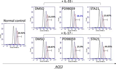Anti-ACE2 antibody [N1N2], N-term used in Flow cytometry (FCM). GTX101395