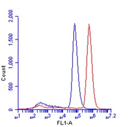 Anti-beta Catenin antibody [N1N2-2], N-term used in Flow cytometry (FCM). GTX101435
