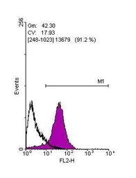 Anti-SOX2 antibody [N1C3] used in Flow cytometry (FCM). GTX101507