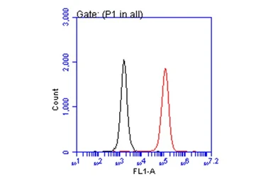 Anti-CD81 antibody used in Flow cytometry (FCM). GTX101766