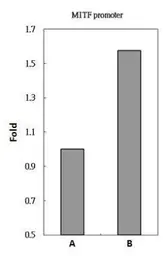 Anti-Brn2 antibody used in ChIP assay (ChIP assay). GTX114650