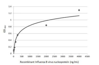 Anti-Influenza B virus Nucleoprotein antibody used in ELISA (ELISA). GTX128539