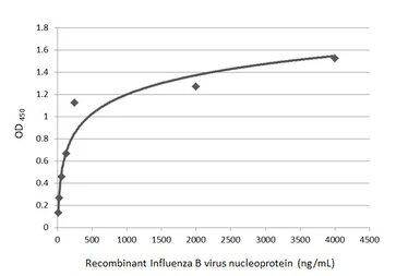 Anti-Influenza B virus Nucleoprotein antibody used in ELISA (ELISA). GTX128539