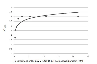 SARS-CoV-2 (COVID-19) Nucleocapsid protein, His tag. GTX135592-pro