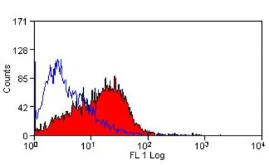 Anti-CD86 antibody [24F] used in Flow cytometry (FCM). GTX41787