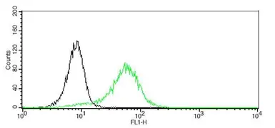 Anti-CD44 antibody [GT462] used in Flow cytometry (FCM). GTX628895