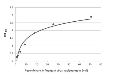 Anti-Influenza A virus Nucleoprotein antibody [GT1236] used in ELISA (ELISA). GTX629633