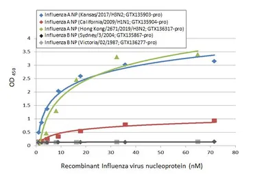 Anti-Influenza A virus Nucleoprotein antibody [GT1236] used in ELISA (ELISA). GTX629633