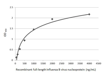 Anti-Influenza B virus Nucleoprotein antibody [GT371] used in ELISA (ELISA). GTX629882