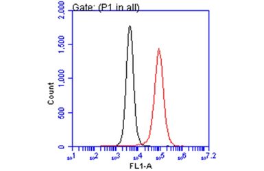 Anti-Iba1 antibody [GT10312] used in Flow cytometry (FCM). GTX632426
