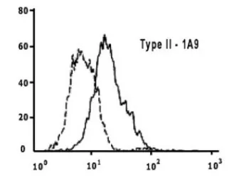 Anti-SARS-CoV / SARS-CoV-2 (COVID-19) spike antibody [1A9] used in Flow cytometry (FCM). GTX632604