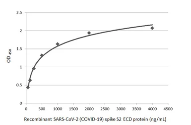Anti-SARS-CoV / SARS-CoV-2 (COVID-19) spike antibody [1A9] used in ELISA (ELISA). GTX632604