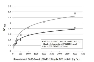 Anti-SARS-CoV / SARS-CoV-2 (COVID-19) spike antibody [1A9] used in ELISA (ELISA). GTX632604