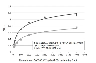 Anti-SARS-CoV / SARS-CoV-2 (COVID-19) spike antibody [1A9] used in ELISA (ELISA). GTX632604