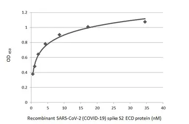 Anti-SARS-CoV / SARS-CoV-2 (COVID-19) spike antibody [1A9] used in ELISA (ELISA). GTX632604