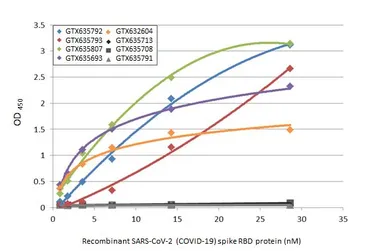 Anti-SARS-CoV / SARS-CoV-2 (COVID-19) spike antibody [1A9] used in ELISA (ELISA). GTX632604