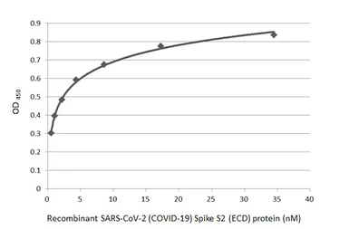 Anti-SARS-CoV / SARS-CoV-2 (COVID-19) spike antibody [1A9] used in ELISA (ELISA). GTX632604