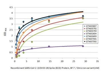 Anti-SARS-CoV / SARS-CoV-2 (COVID-19) spike antibody [1A9] used in ELISA (ELISA). GTX632604