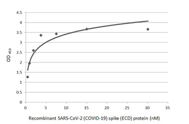 Anti-SARS-CoV / SARS-CoV-2 (COVID-19) spike antibody [1A9] used in ELISA (ELISA). GTX632604