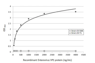 Anti-Enterovirus D68 VP1 antibody [GT11610] used in ELISA (ELISA). GTX633688