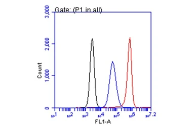 Anti-CA19-9 antibody [GT933] used in Flow cytometry (FCM). GTX635389