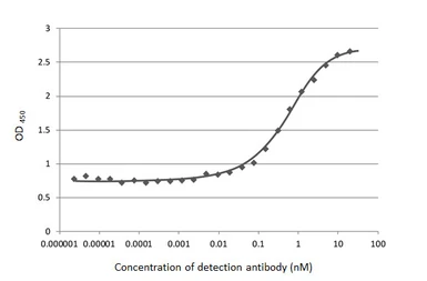Anti-SARS-CoV-2 (COVID-19) Spike S1 antibody [HL6] used in ELISA (ELISA). GTX635654