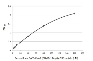 Anti-SARS-CoV-2 (COVID-19) Spike RBD antibody [HL257] used in ELISA (ELISA). GTX635692