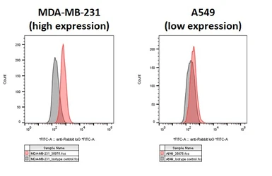 Anti-PD-L1 antibody [HL1041] used in Flow cytometry (FCM). GTX635975