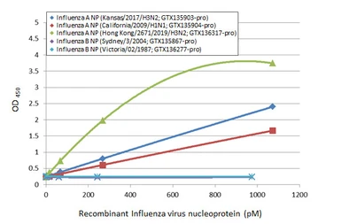 Anti-Influenza A virus Nucleoprotein antibody [HL1103] used in ELISA (ELISA). GTX636318