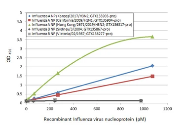 Anti-Influenza A virus Nucleoprotein antibody [HL1103] used in ELISA (ELISA). GTX636318