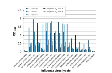 Anti-Influenza A virus Nucleoprotein antibody [HL1103] used in ELISA (ELISA). GTX636318