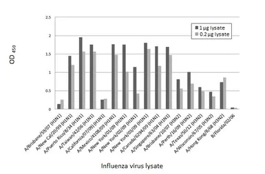 Anti-Influenza A virus Nucleoprotein antibody [HL1103] used in ELISA (ELISA). GTX636318