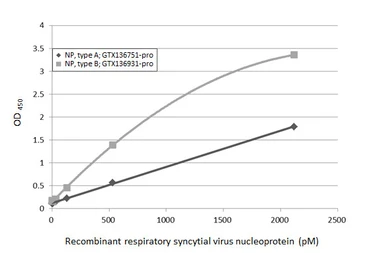 Anti-Respiratory Syncytial virus Nucleoprotein antibody [HL1245] used in ELISA (ELISA). GTX636647