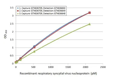 Anti-Respiratory Syncytial virus Nucleoprotein antibody [HL1246] used in ELISA (ELISA). GTX636648