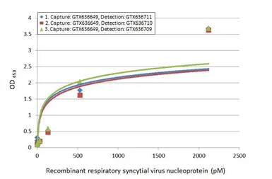 Anti-Respiratory Syncytial virus Nucleoprotein antibody [HL1247] used in ELISA (ELISA). GTX636649