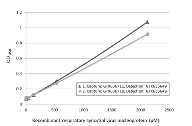 Anti-Respiratory Syncytial virus Nucleoprotein antibody [HL1247] used in ELISA (ELISA). GTX636649