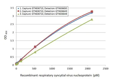 Anti-Respiratory Syncytial virus Nucleoprotein antibody [HL1248] used in ELISA (ELISA). GTX636650