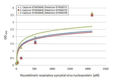 Anti-Respiratory Syncytial virus Nucleoprotein antibody [HL1295] used in ELISA (ELISA). GTX636709